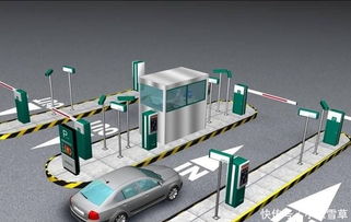 驾照考试再升级 科目二新项目引热议，老司机亦叹不易